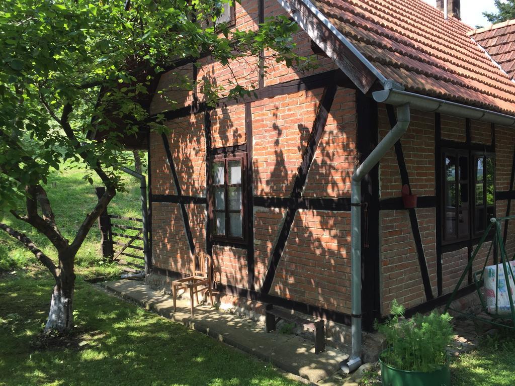 Country House Stoljetna Vila Guest House Seona Exterior foto