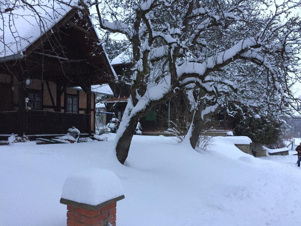 Country House Stoljetna Vila Seona Exterior foto